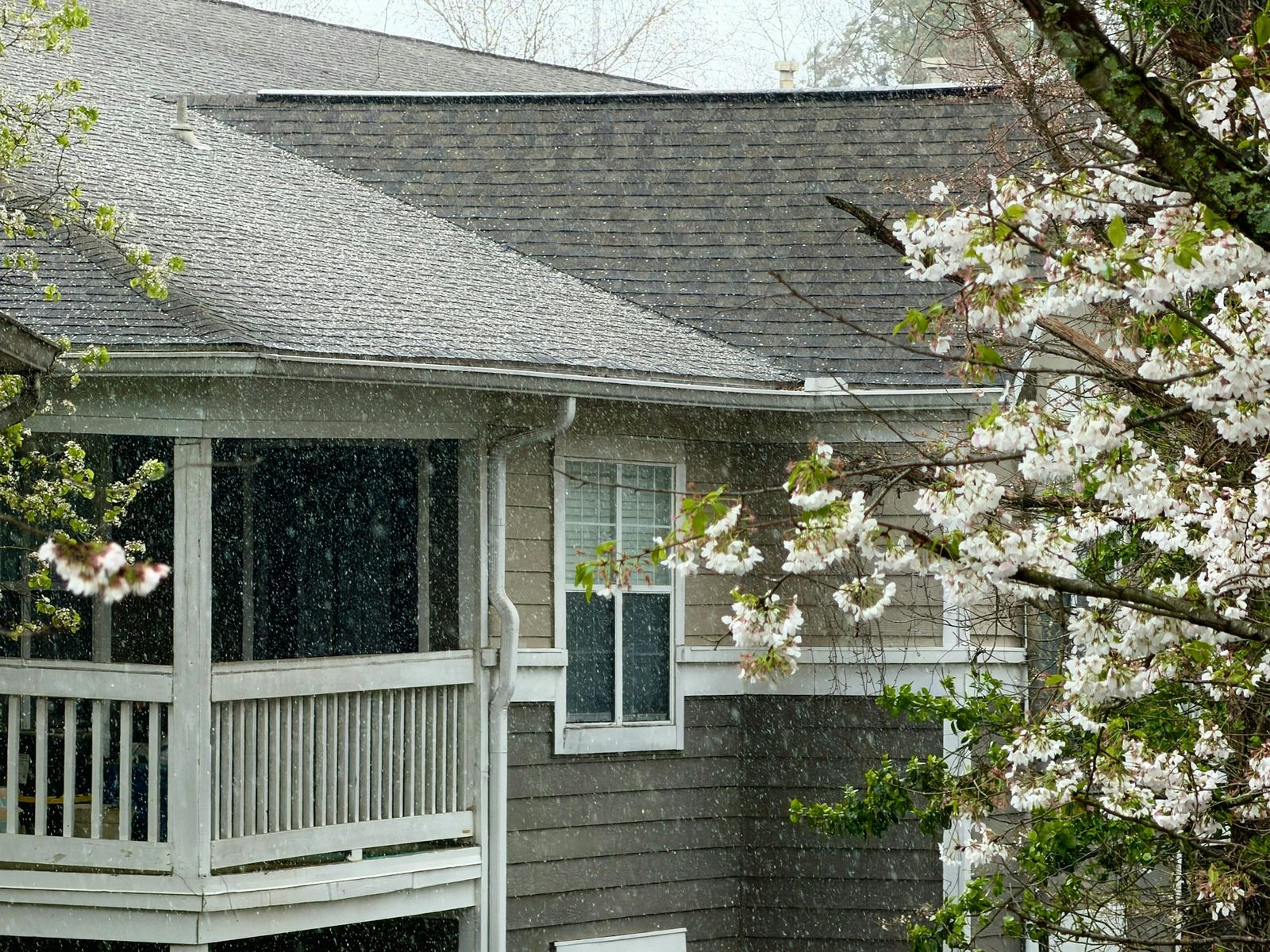 Rainwater running off a roof beside a house