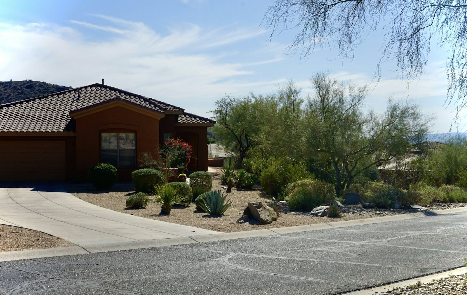 A single-story southwestern home with desert landscaping